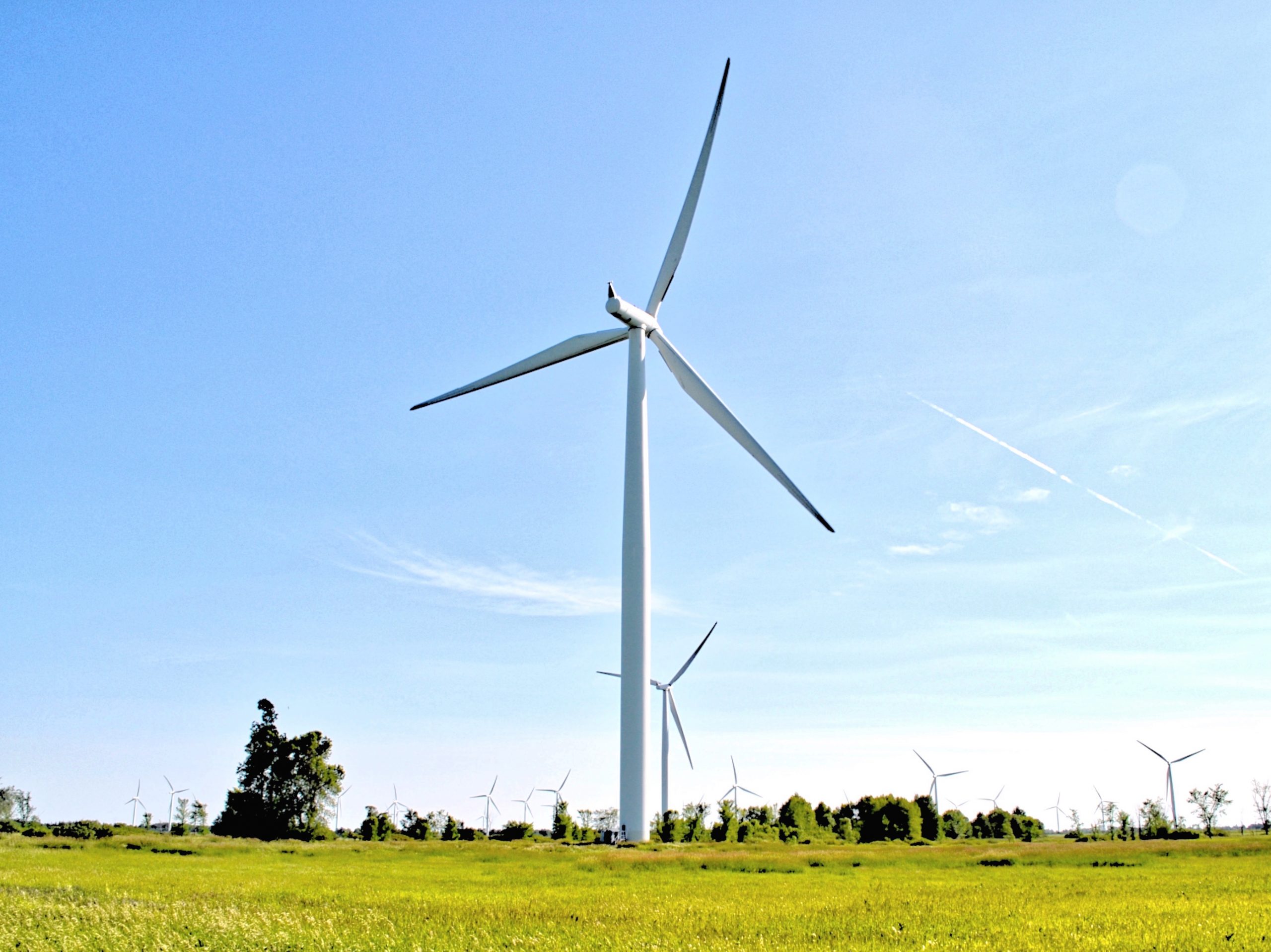 Wolfe Island Kingston