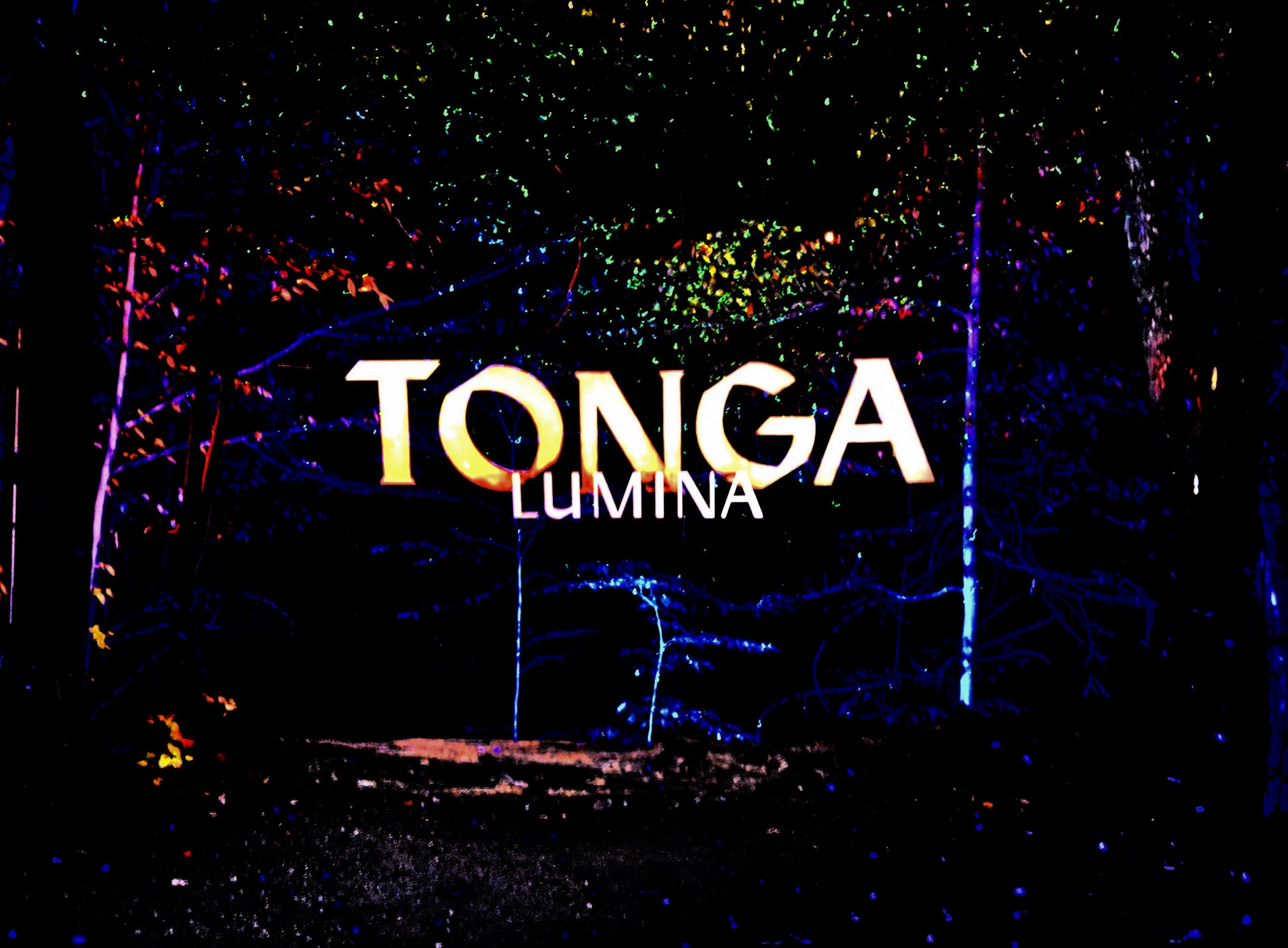 Mont Tremblant Tonga Lumina