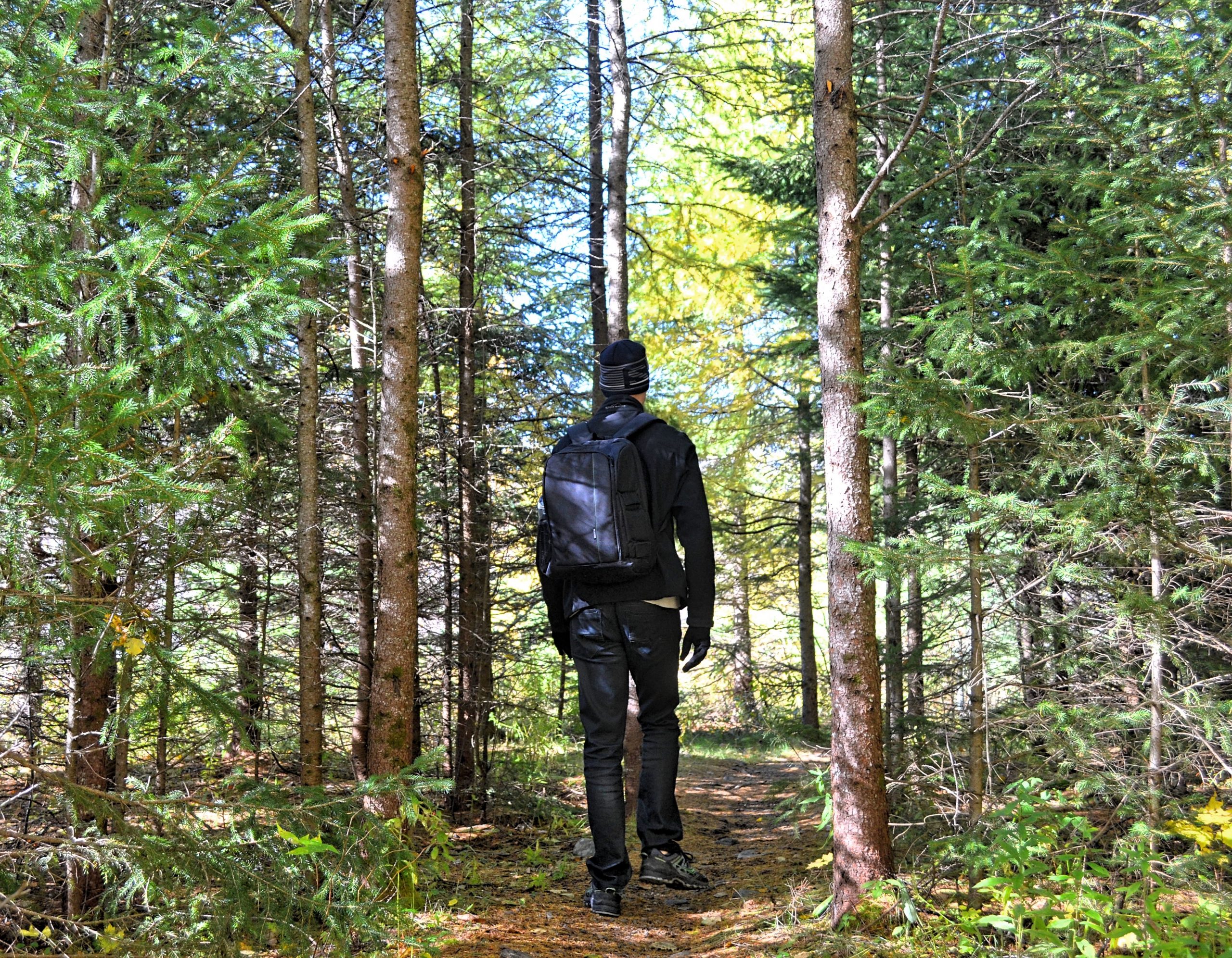 Mont Tremblant Hiking