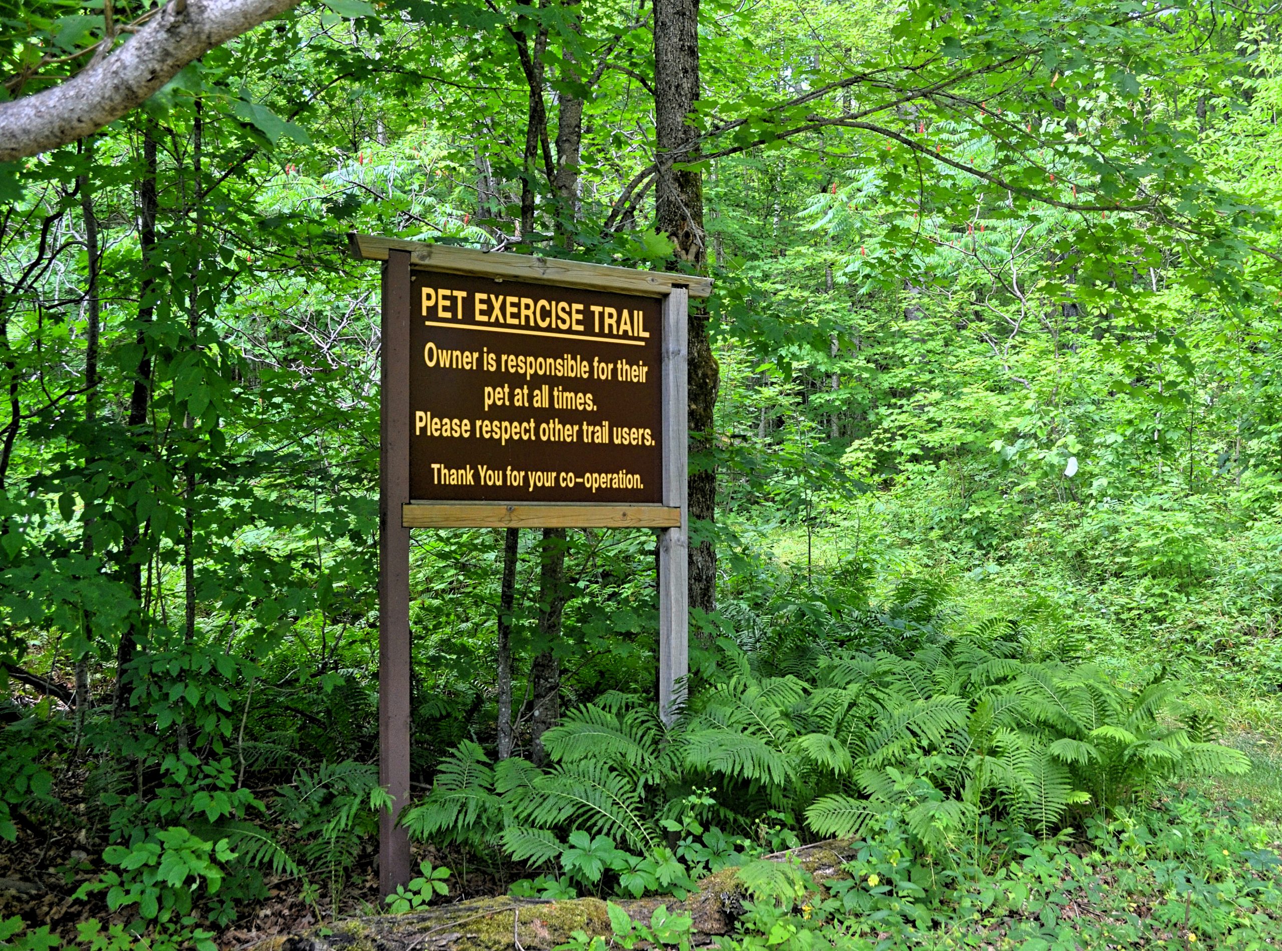 Bon Echo Pet Exercise Trail