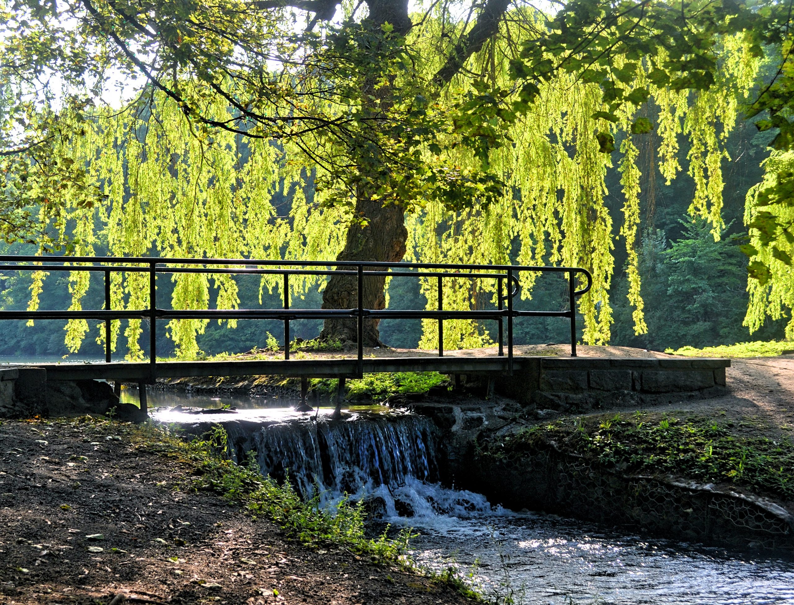 Dufferin Islands Park