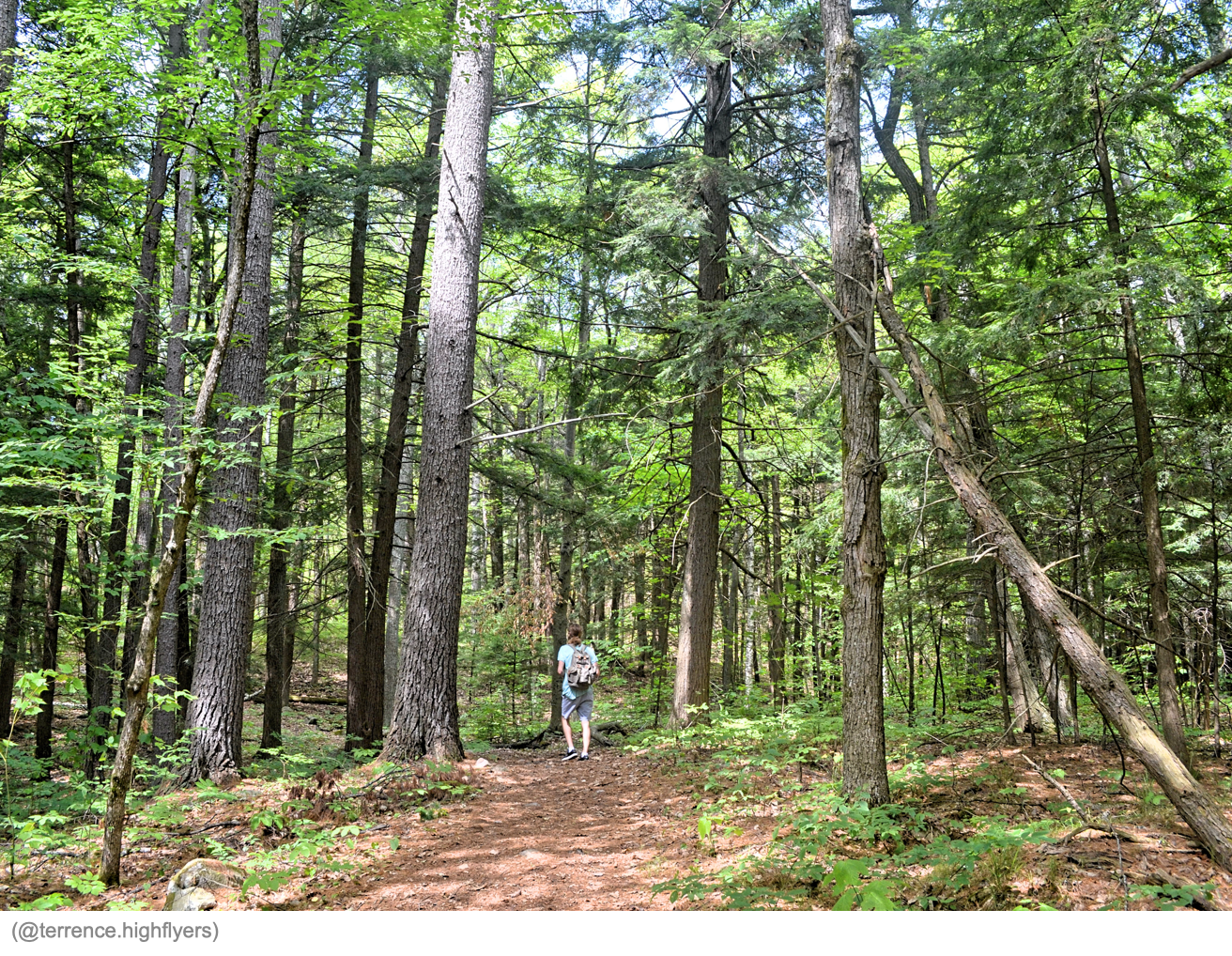 Bon Echo High Pines Trail