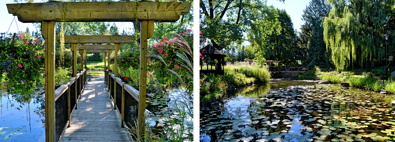 Nature Centre 901 / Le Centre de la Nature