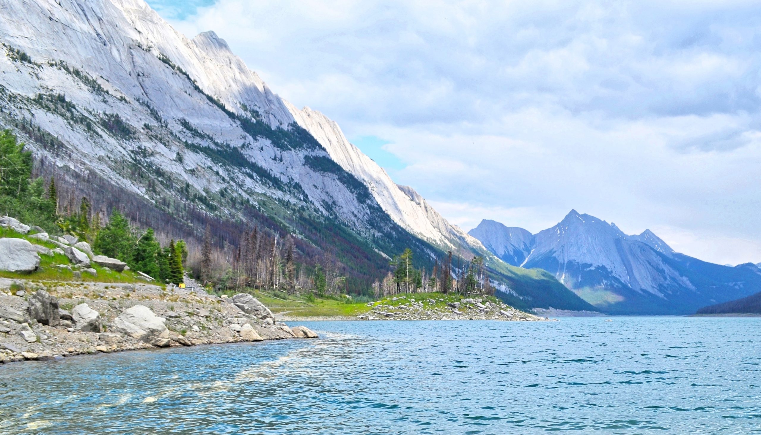 Medicine Lake Jasper