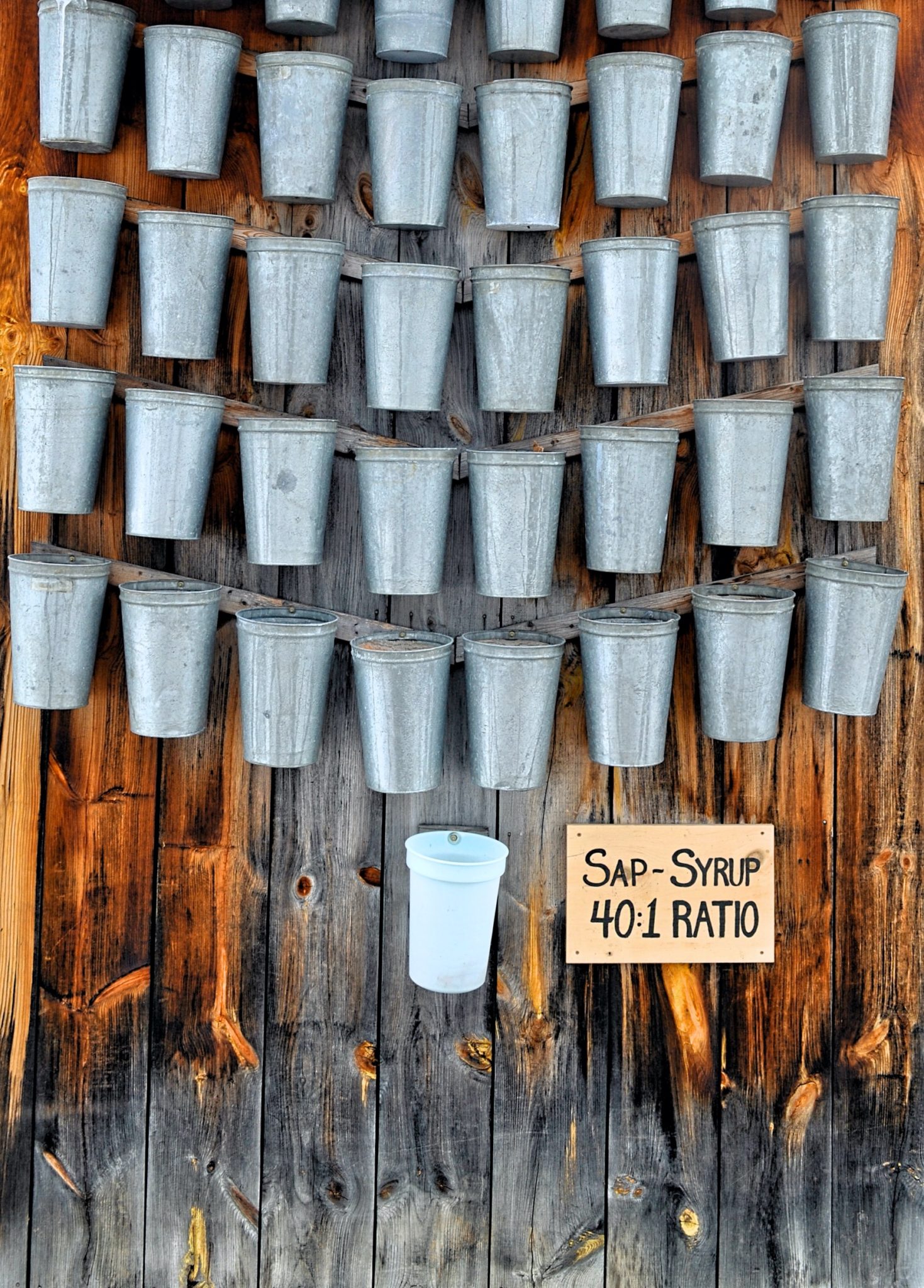 Indulge in Sweet Traditions Canada's Sugar Shacks Await