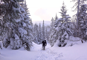 Travel Deals in Canada