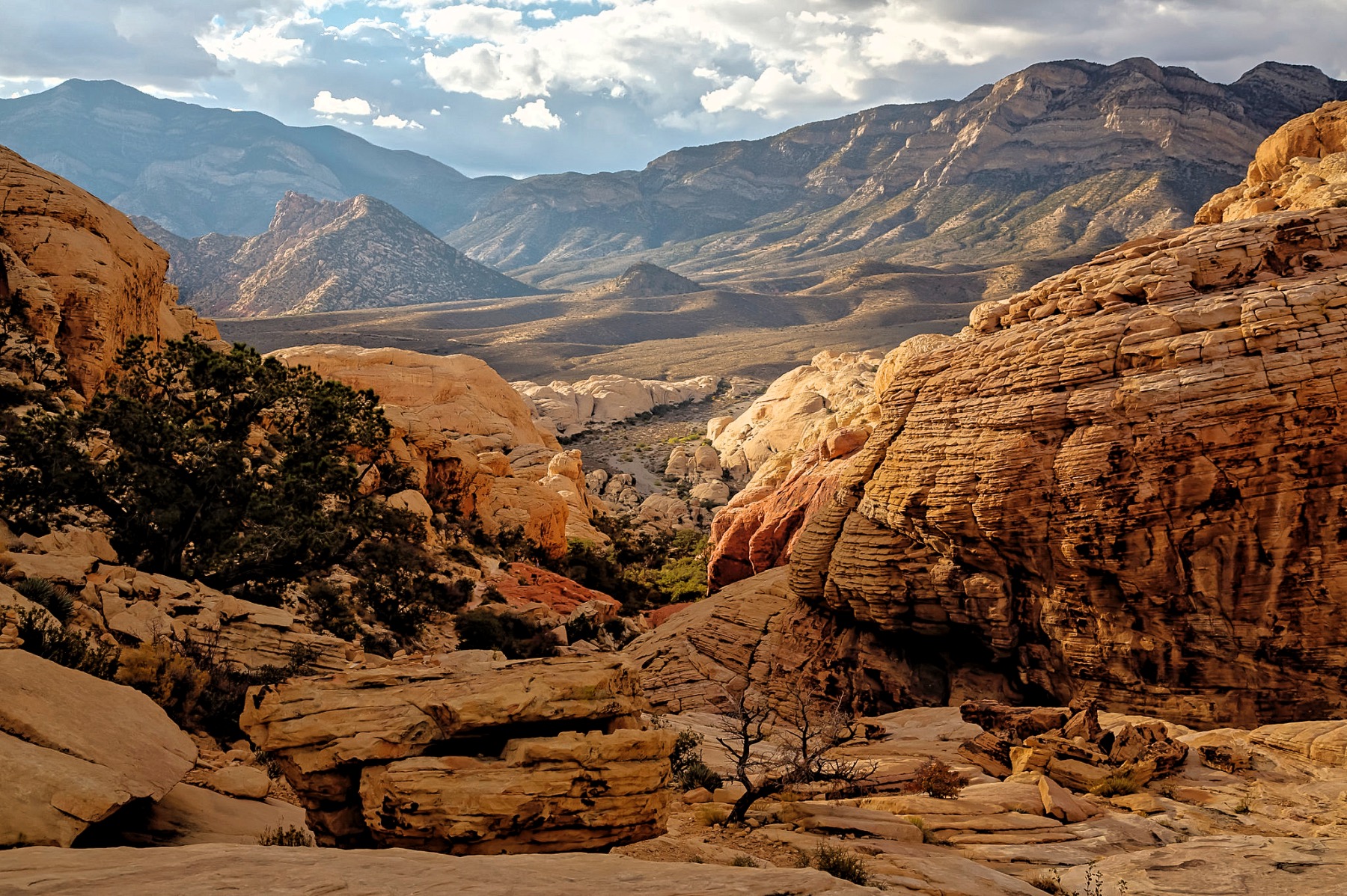 Red Rock Canyon National Conservation TravelBox Global Trip