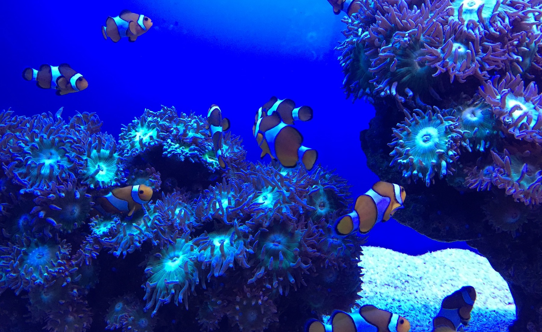 palma-aquarium-travelbox-global-trip-activity-planner